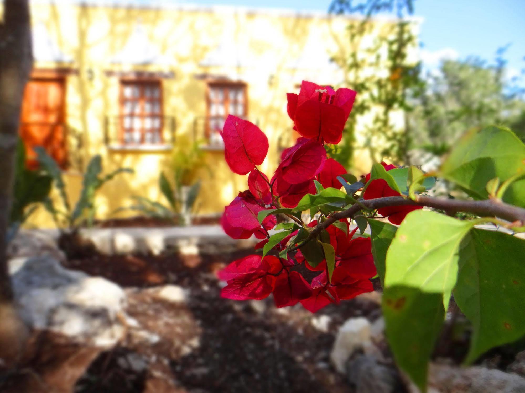 Hacienda Cobá Bed and Breakfast Exterior foto